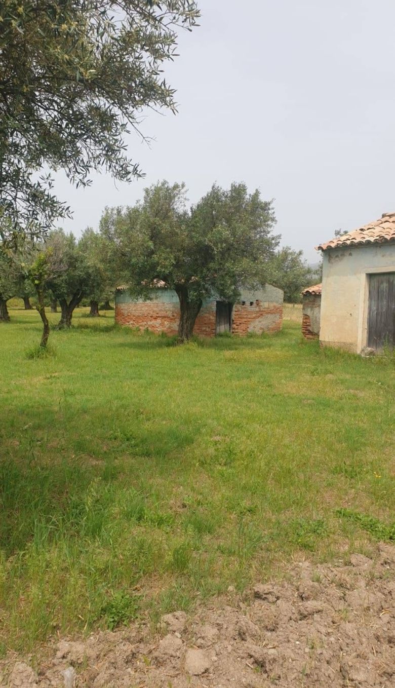 terreno con rustico via Aristotele Lamezia Terme agenzia immobiliare infocasa